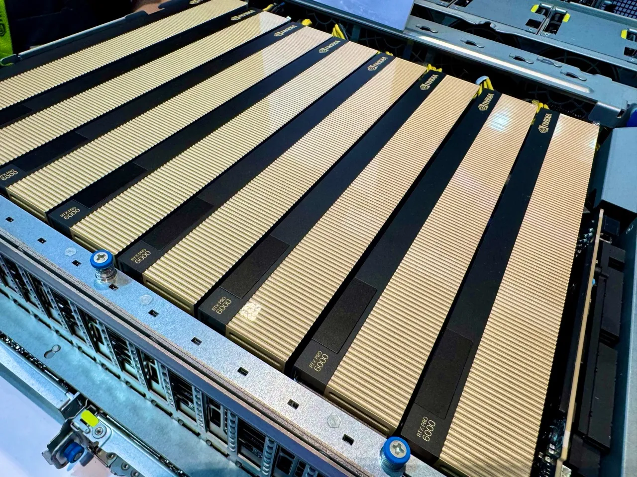 nvidia rtx pro 6000 blackwell 1