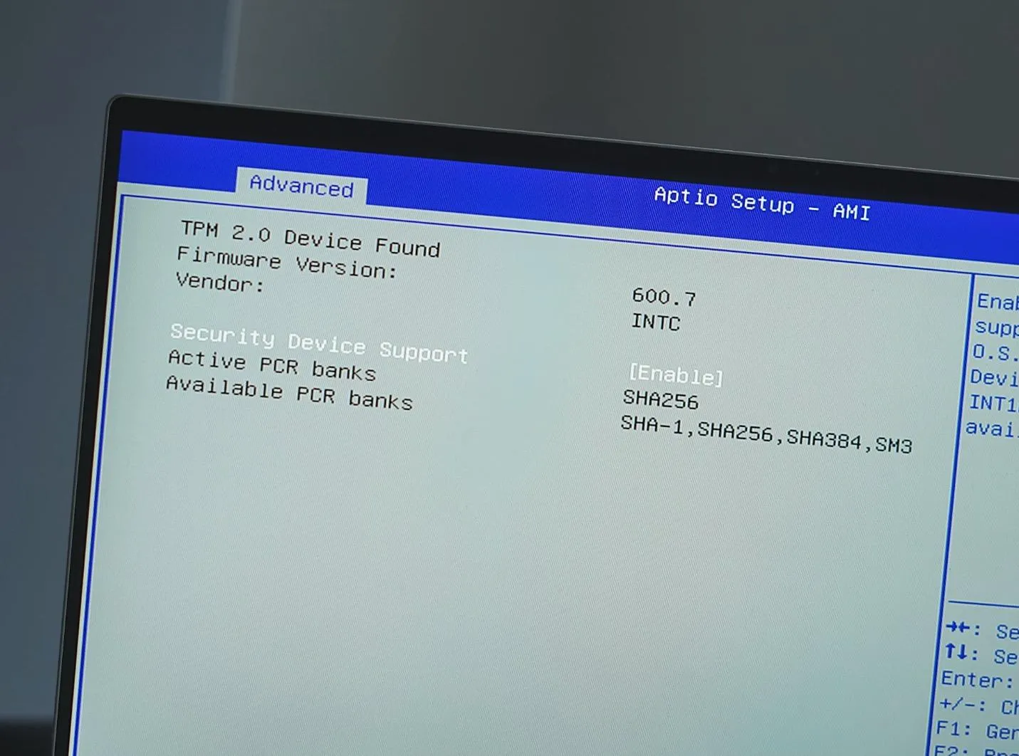windows 11 va buc tuong phan cung 2