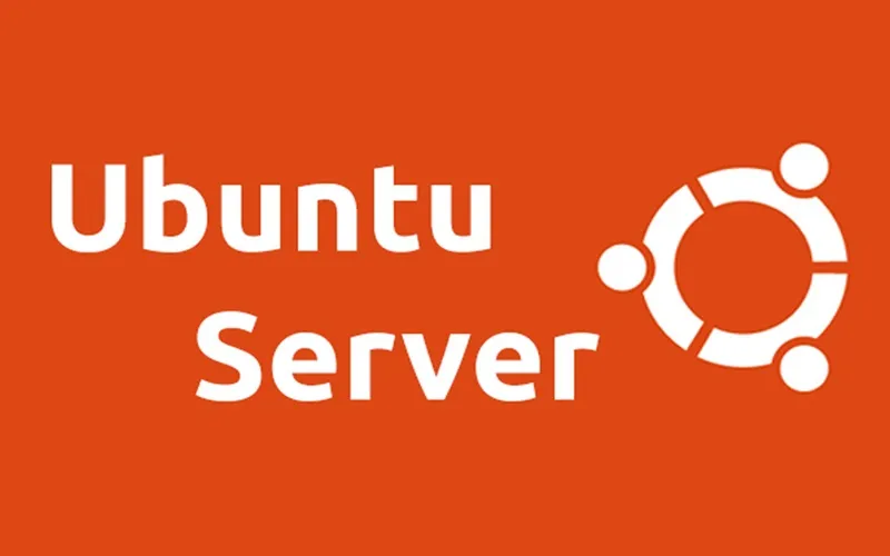 10 ban phan phoi linux manh me nhat cho may chu nam 2025 1