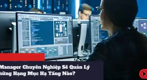 Một IT Manager Chuyên Nghiệp Sẽ Quản Lý Những Hạng Mục Hạ Tầng Nào