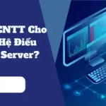 Tại Sao Dịch Vụ CNTT Cho Hãng Cần Đến Hệ Điều Hành Windows Server?