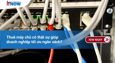 Thuê máy chủ có thật sự giúp doanh nghiệp tối ưu ngân sách?
