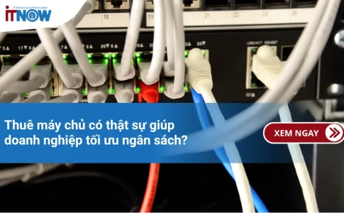 Thuê máy chủ có thật sự giúp doanh nghiệp tối ưu ngân sách?