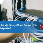 Thuê máy chủ vật lý hay Cloud Server: Nên chọn giải pháp nào?