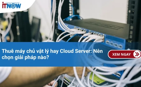 Thuê máy chủ vật lý hay Cloud Server: Nên chọn giải pháp nào?