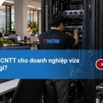 Giải pháp CNTT cho doanh nghiệp vừa và nhỏ là gì?