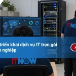 Quy trình triển khai dịch vụ IT trọn gói cho doanh nghiệp