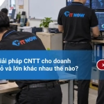 So sánh giải pháp CNTT cho doanh nghiệp nhỏ và lớn khác nhau thế nào?