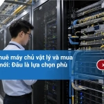 So sánh thuê máy chủ vật lý và mua máy chủ mới: Đâu là lựa chọn phù hợp?